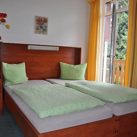 Guest house Svycarska Bouda 3*