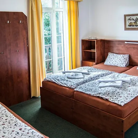 Guest house Svycarska Bouda 3*